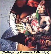 click for full cd-rom details