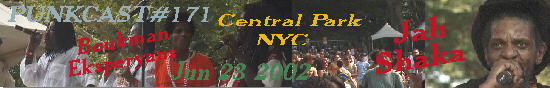 'a rastaman in new york'